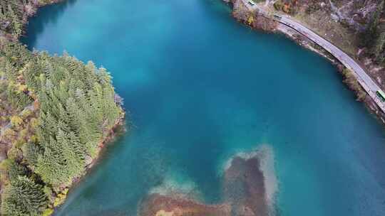 航拍九寨沟秋景彩林川西秋天原始森林五花海