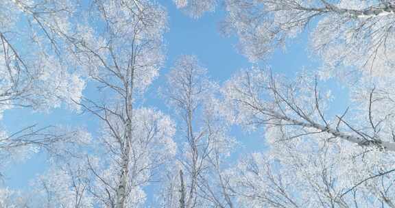 雾凇 雪景 纯净 唯美 冬季