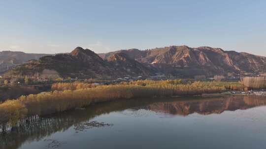 山西平陆大天鹅景区