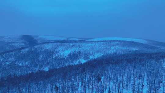 航拍晨曦蓝调林海雪原