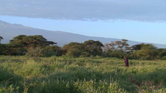 一名马赛战士走在坦桑尼亚东非乞力马扎罗山前视频素材模板下载