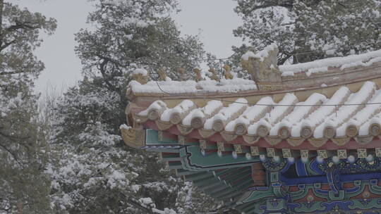 北京雪景 北京下雪