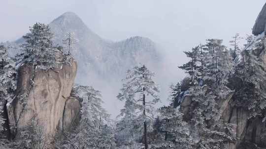 南太行伏牛山雪景雾凇云海自然风光