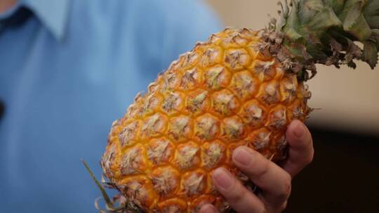 【镜头合集】手中拿起一个菠萝视频素材模板下载