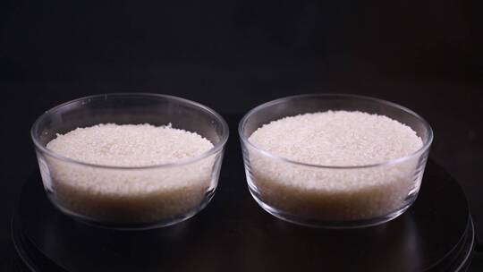 大米水稻米饭