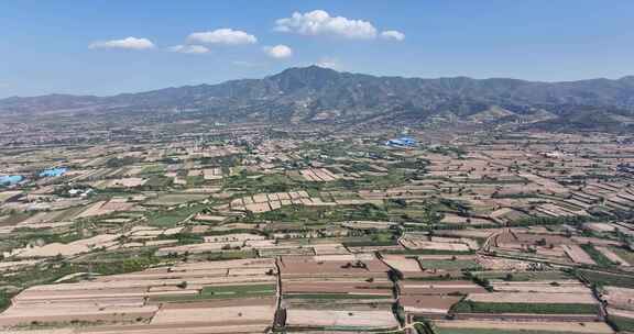 山西 陕西 黄土高原 农田 西北农田