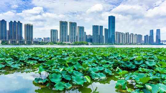 长沙河西梅溪湖城市风光航拍延时