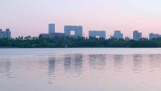 广州海珠湖公园落羽杉树林与夕阳落日