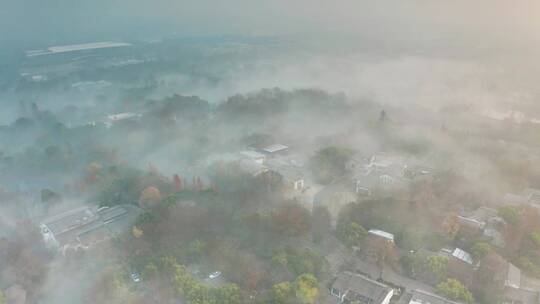 杭州西溪湿地公园清晨晨雾云雾缭绕空镜