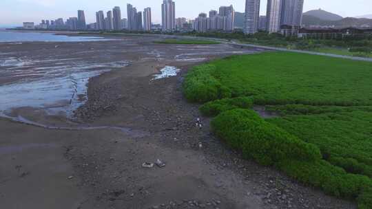 厦门翔安湿地公园海滨城市