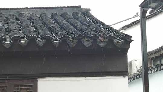 古建筑下雨素材苏州北寺塔实拍