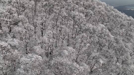 航拍焦作云台山峰林峡山脉冬季雾凇雪景