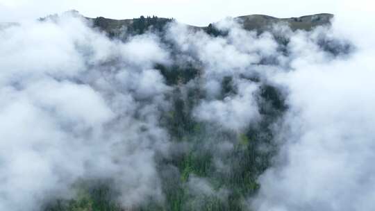 云雾盘山公路