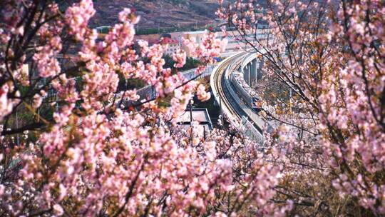 青岛春天11号线地铁