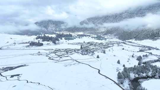 西藏林芝鲁朗林海雪原冬天乡村雪景冬景航拍