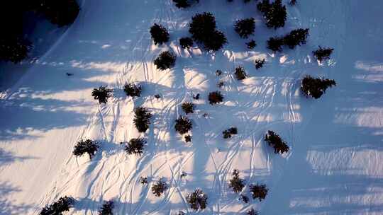 滑雪场航拍视频素材模板下载