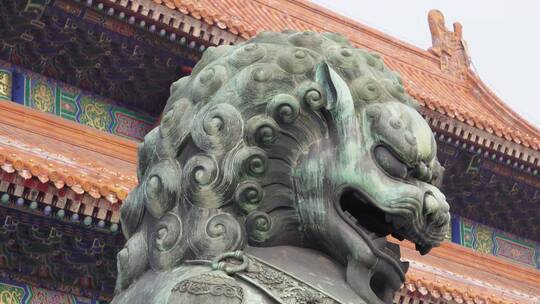 【镜头合集】狮子雕像铜像铸铁紫禁城故宫