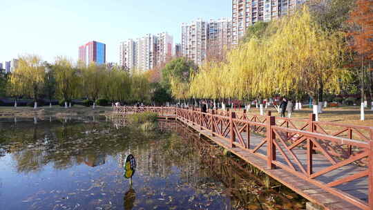 武汉洪山区关山荷兰风情园风景