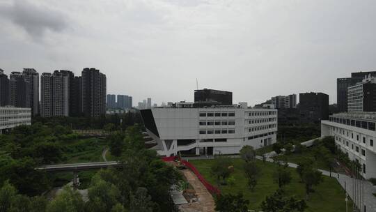 西丽大学城 南方科技大学