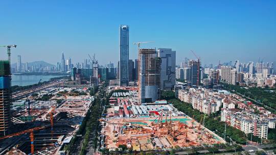 4K航拍深圳湾超级总部建设进展