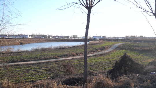 车窗外 行驶 第一视角 驾驶 风景