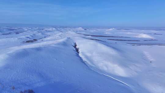 广阔无垠的雪覆盖的大地全景