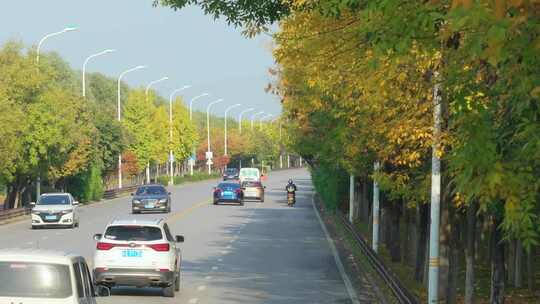 西安河堤路秋色 道路 交通