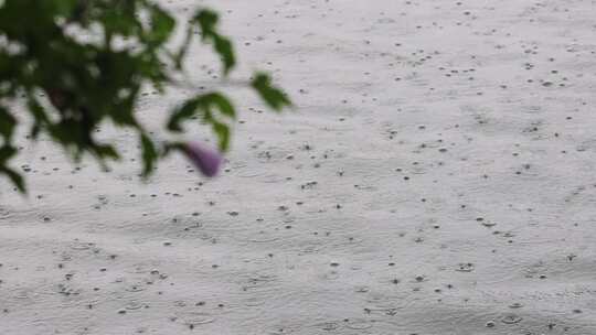 夏天暴雨，雨滴落在水里溅起水花