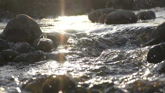 夕阳 水流 风景 水光 河流 慢动作 小溪