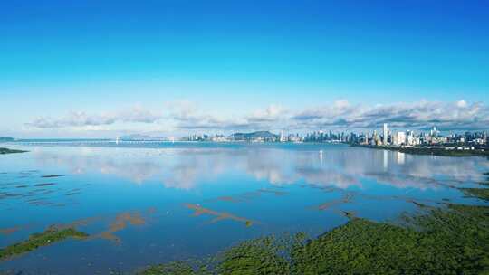 深圳南山区红树林深圳湾