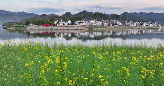 新安江山水画廊 歙县 春天 清明节 皖南