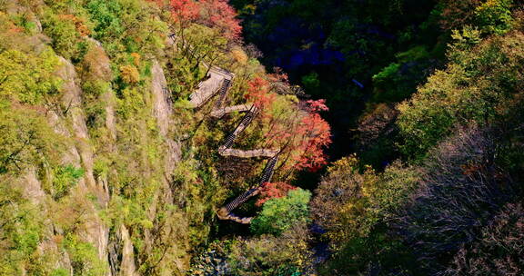 陕西秦岭山脉秋天秋景