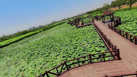 如此罕见且震撼的一幕，治愈，唯美，风景