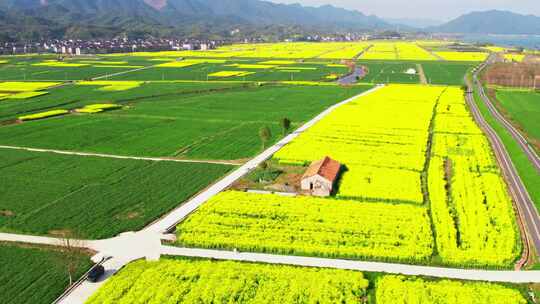 杭州富阳富春江江畔绿道春天风景