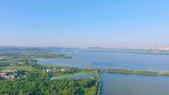 武汉东湖风景区夏季风光