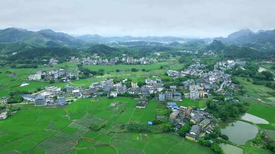 美丽乡村田野水稻山清水秀新农村航拍视频素材模板下载