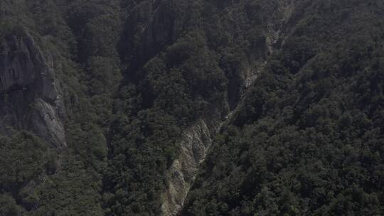 括苍括苍山森林云海风光高山