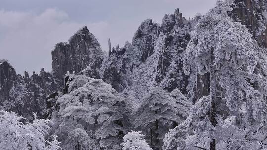 安徽黄山雪景视频素材模板下载