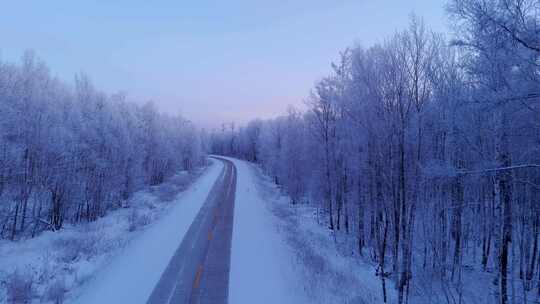 东北大兴安岭唯美雾凇 雪松 冬季森林