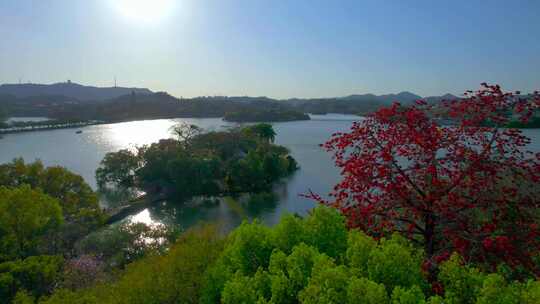 精选西湖红棉水榭木棉航拍大景