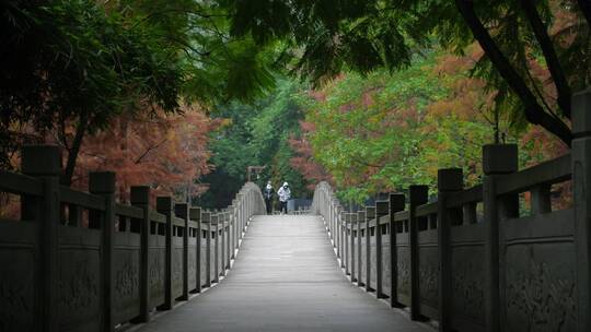 森林石拱桥