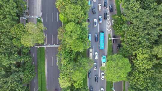 城市道路视频素材模板下载