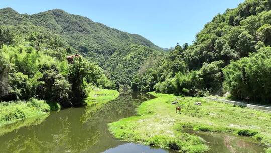 美丽乡村振兴建设宣传片头航拍风光环境河流