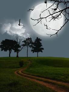 月光与思念 思念 月光 回忆 梦幻 夜