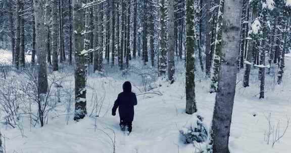 雪，冬天，寒冷，冰