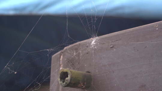 木船上的破蜘蛛网