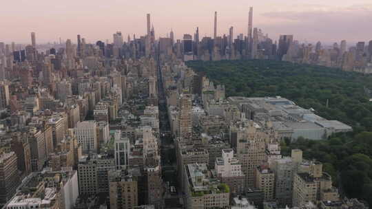 背景上的曼哈顿摩天大楼绿色城市中央公园美