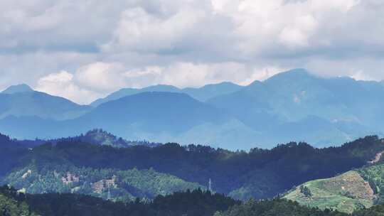 武夷山茶山梯田茶园