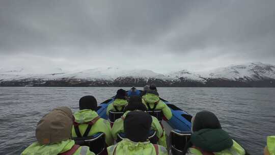 冰岛观鲸冲锋舟
