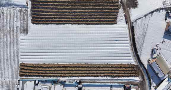 雪地中的农田景象